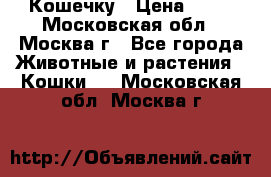 Кошечку › Цена ­ 10 - Московская обл., Москва г., Все города Животные и растения » Кошки   . Московская обл.,Москва г.